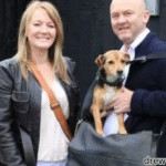 drew pritchard new wife